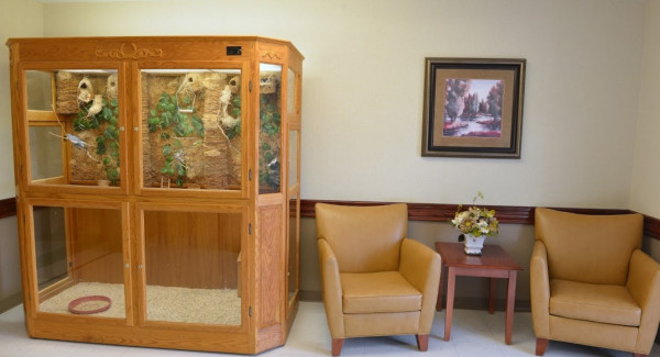 Bird aviary enclosure